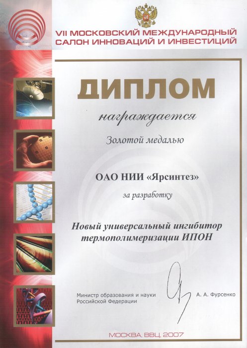 Диплом (2007) ИПОН